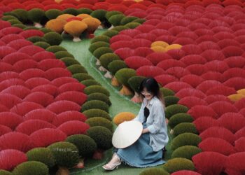 Làng hương Quảng Phú Cầu ở Hà Nội được ca ngợi trên truyền thông Bỉ