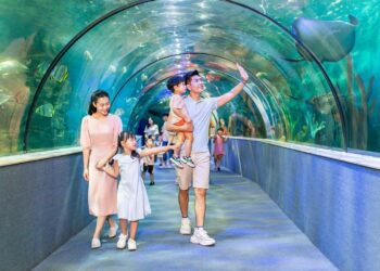 VinKE & Thủy cung Vinpearl Times City – Điểm đến giáo dục và giải trí sinh động tại Hà Nội
