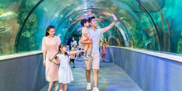 VinKE & Thủy cung Vinpearl Times City – Điểm đến giáo dục và giải trí sinh động tại Hà Nội